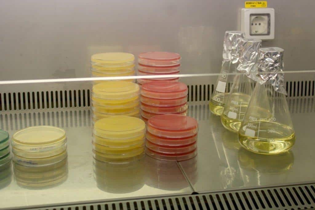 Medios de cultivo tradicionales, cromogénicos y fluorogénicos; dispositivos de nanodiagnóstico para las pruebas de microbiología, incluido el diagnóstico clínico, el control de la calidad de los alimentos y el agua y el control de calidad farmacéutica